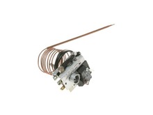 THERMOSTAT – Part Number: WB20T10022