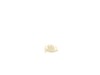10188745-1-S-DeWALT-N147098-Cover Assy