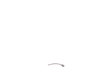 Brush – Part Number: N198492