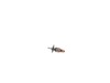 10188967-1-S-DeWALT-N225698-Armature Assy.