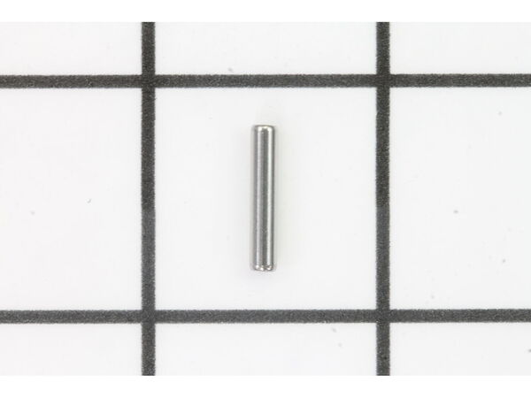 10189209-1-M-DeWALT-N381525-Pin
