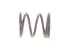 Spring – Part Number: 089240001008