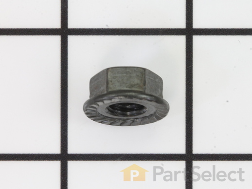 10194474-1-M-Craftsman-0KRR-Nut 20Pcs