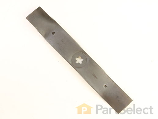 10199875-1-M-Craftsman-173921-Mulch Blade