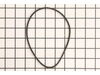 Fan Belt – Part Number: 20581.00