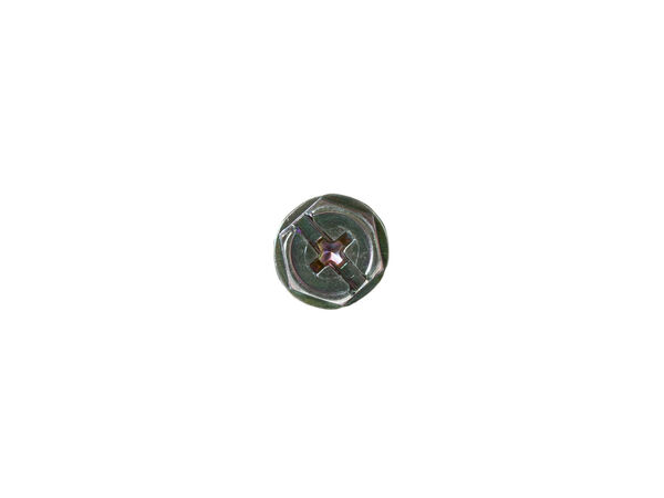 1020652-1-M-GE-WP01X10029        -SPECIAL SCREW