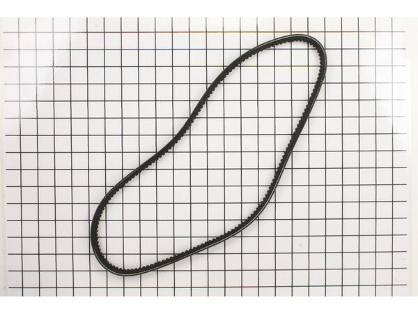 10224409-1-M-Craftsman-818523-Belt