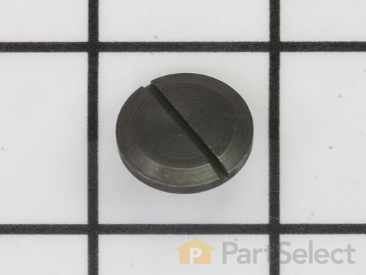 10230697-1-M-Craftsman-976366-001-Screw
