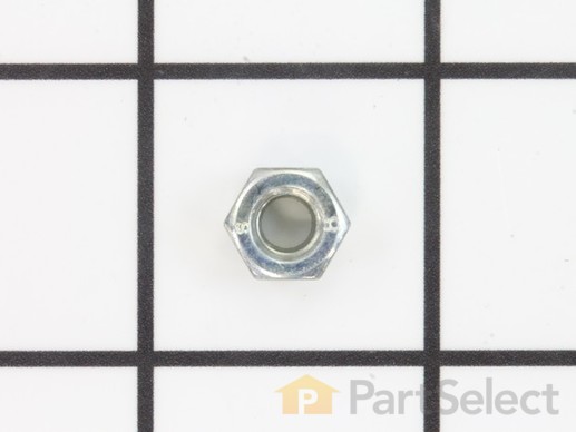 10237928-1-M-Craftsman-SC05153.00-Nut Fiber