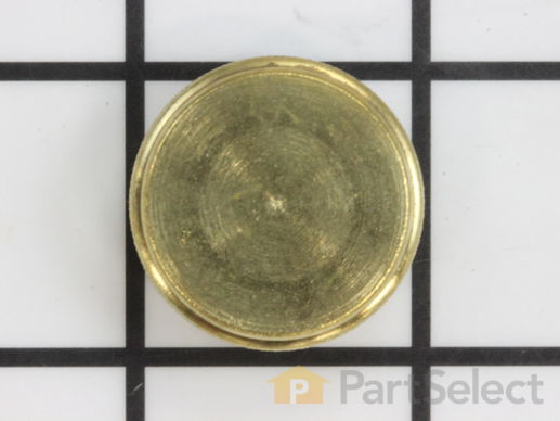10241066-1-M-Coleman-3000000454-Filler Cap
