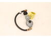 10242128-2-S-Coleman-9995-5601-Hose andRegulator Assemby