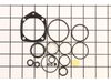 Complete O-Ring Kit – Part Number: SKN01700AV