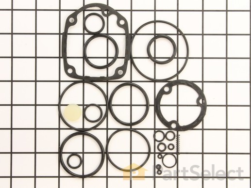 10243447-1-M-Campbell Hausfeld-SKN04400AV-O-Ring Kit