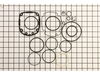Complete O-Ring Replacement Kit – Part Number: SKN18600AV