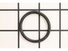 O-Ring – Part Number: 1FP0032