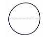 O-Ring – Part Number: 3090580
