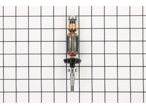 10259943-1-M-Dremel-2610006472-Armature 120V-127V