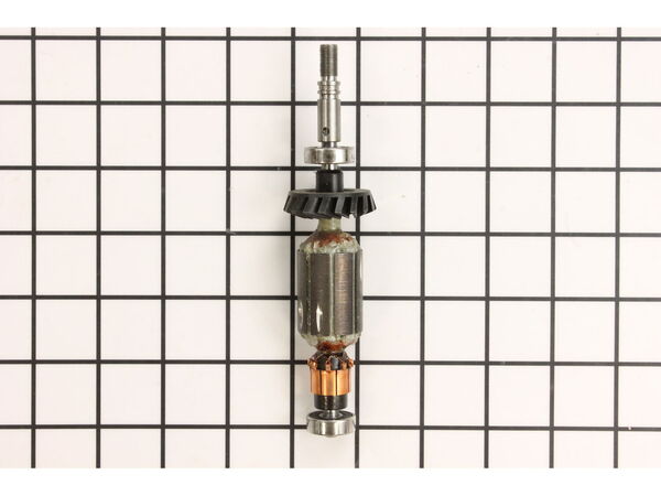 10260246-1-M-Dremel-2610941200-Armature 120V