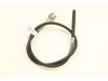 10260343-2-S-Dremel-2615294138-Flex Shaft Assy.