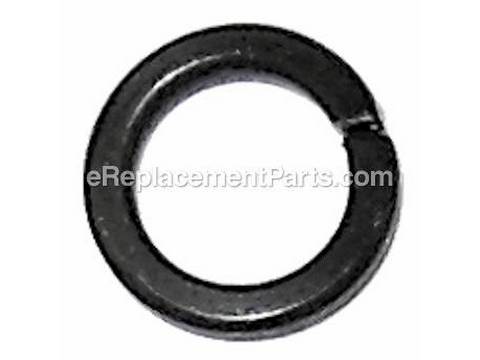 10261687-1-M-Alpha-210014-Spring Washer