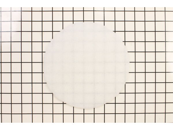10270319-1-M-Bissell-B-203-0165-Secondary Filter