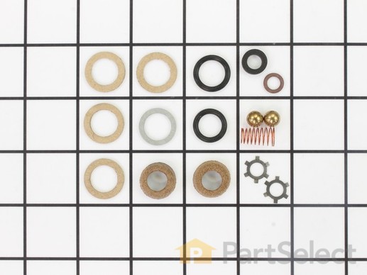 10290279-1-M-Chapin-3-1851-Seal and Gasket Kit