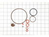 10290353-2-S-Chapin-6-5387-O-Ring Kit
