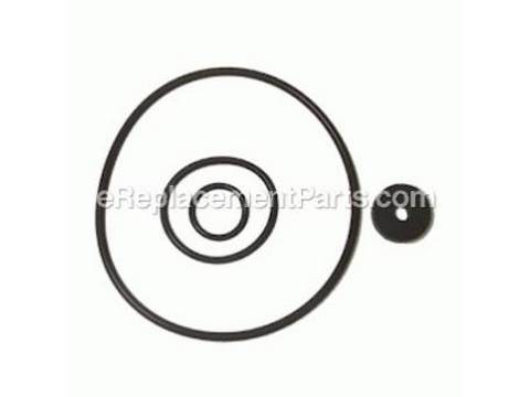 10290404-1-M-Chapin-6-8167-Diaphragm Pump Repair Kit