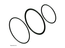 O-Ring – Part Number: 402253