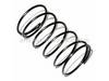 Throttle Valve Spring – Part Number: P002521