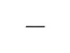 Extension Spring – Part Number: 204033