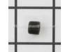 Pipe Plug (Small) – Part Number: 843430