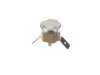 10310625-3-S-DeLonghi-5285001600-Fuse