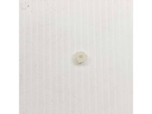 Foot – Part Number: 5313224721