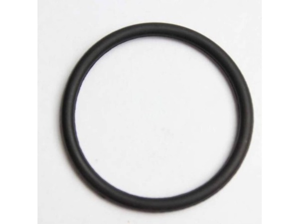 10311697-1-M-DeLonghi-536571-Gasket