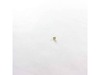 Valve Ring – Part Number: 621986