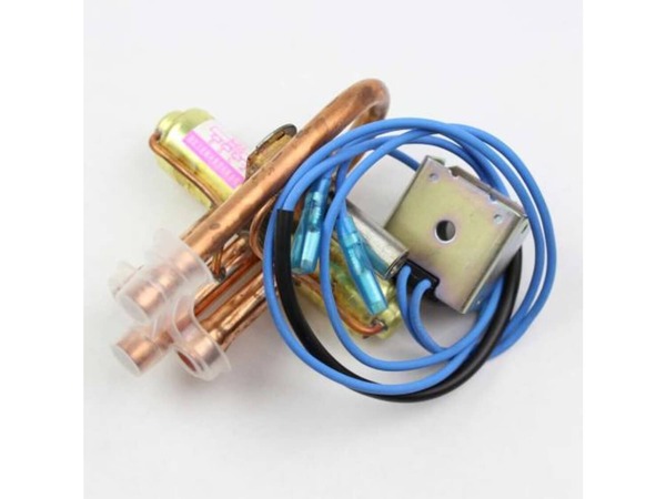 10314507-1-M-DeLonghi-NE1960-Valve