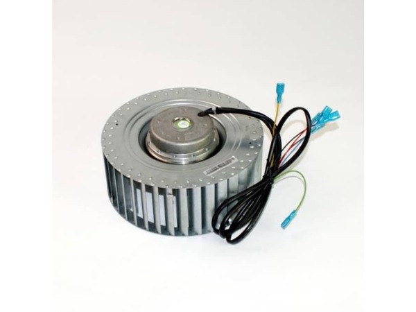 10314910-1-M-DeLonghi-TL1612-Mot. Fan 5 Poles