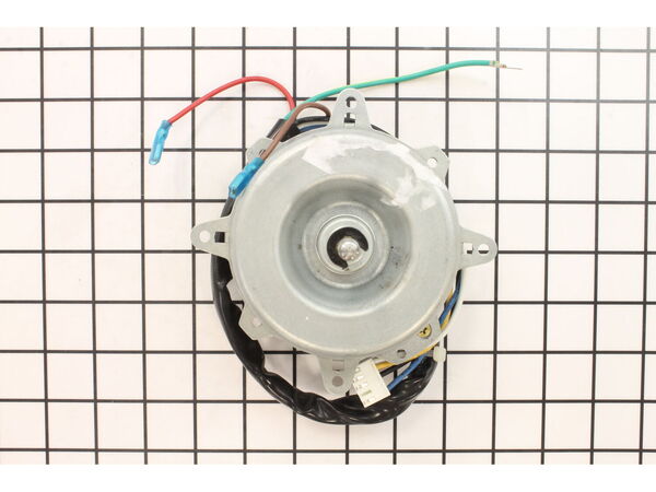 10314981-1-M-DeLonghi-TL1874-Motor -50 Watt/ac/single Phase