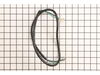 Motor Cord – Part Number: 1311067