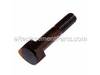 Special Screw – Part Number: 1343608