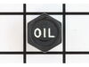 Oil Plug – Part Number: 1347859