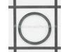 Retaining Ring – Part Number: 12119