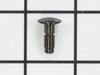 Plunger Assembly – Part Number: 25273
