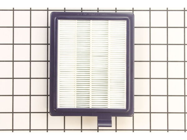 10352314-1-M-Eureka-61053-Hepa Filter - Washable