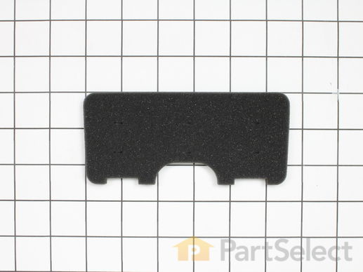 10354269-1-M-Eureka-81405-Exhaust Sponge
