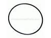 O-Ring – Part Number: 120197