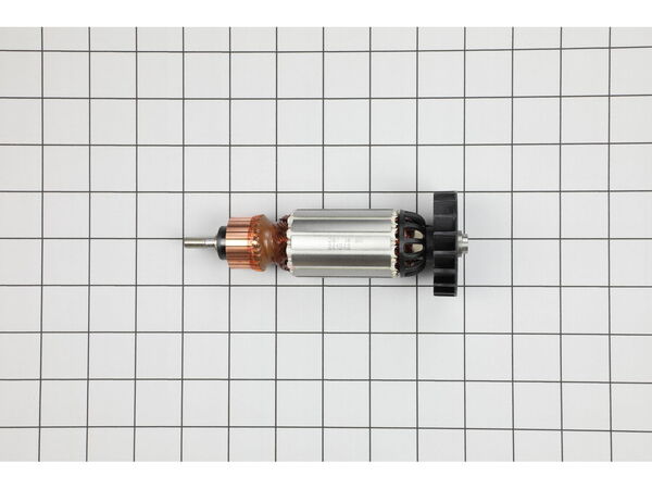 10354946-1-M-Flex-241342-Armature 120v