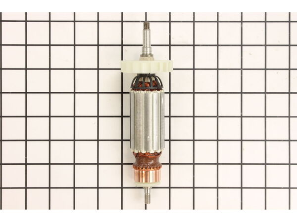 10355516-1-M-Flex-301779-Armature 120V