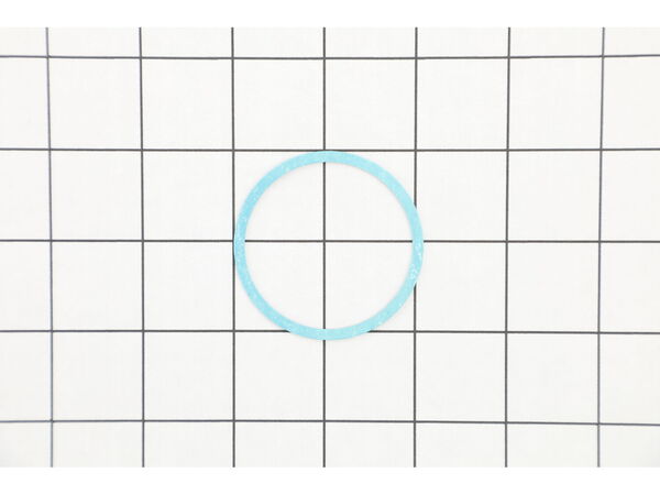 10365034-1-M-Grip-Rite-PACP360-Valve Seat Gasket